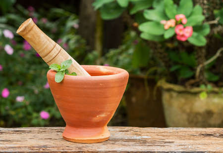Mint herb leaf in clay mortar with pestle on wood with nature backgroundの写真素材