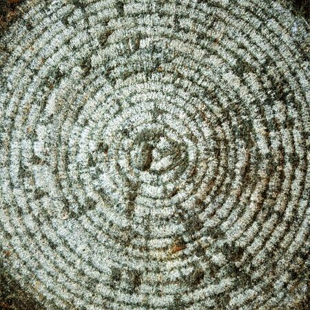 Macro of circle shape stone texture background