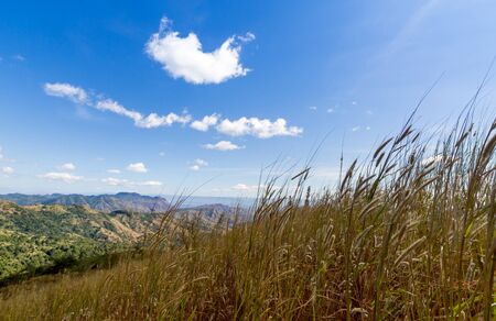 Clouds sky over mountains and yellow grass flower in winterの写真素材