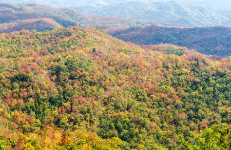 Mountain autumn with colorful forest landscapeの写真素材