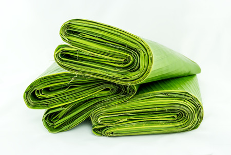 Group of green banana leaves rolls isolated on white backgroundの写真素材