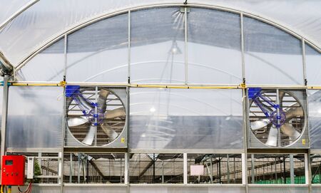 Electric ventilators on working in greenhouse