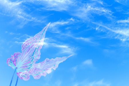 Fancy Leaved Caladium on clouds and blue sky background - double exposure effect style pictures