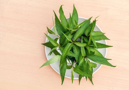 Fresh Vietnamese coriander plant in bowl and plate on wood tableの写真素材