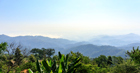 Landscape view with mountain, forest and cloud sky in morning timeの写真素材