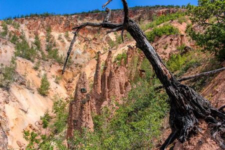 Devil town - wonder of the world - death tree on the topの写真素材