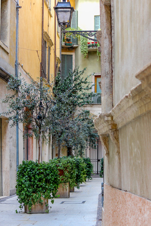 Narrow street in the old town in Italyの写真素材