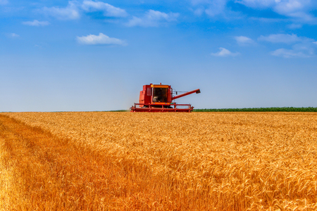 Red harvester in a field of wheat on blue cloudy skyの写真素材