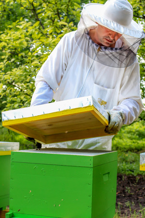 Beekeeper working abouth beesの写真素材