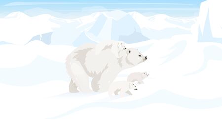 North pole flat vector illustration. Antarctic landscape with polar bear family. Snow desert, panoramic white land. Polar animals. Wild environment. Arctic creature cartoon wallpaperのイラスト素材
