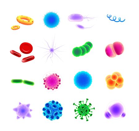 Bacteria types realistic vector icons set. Pathogen illustrations. Blood cells. Microbe and virus. 3d isolated color microorganisms of various shapes under microscope on white backgroundのイラスト素材
