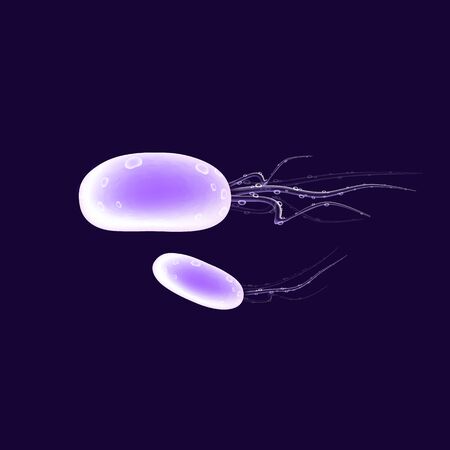 Virus cell realistic vector illustration. Pathogenic organism. Cholera bacteria. 3d isolated color microorganism round shape under microscope on dark blue backgroundのイラスト素材