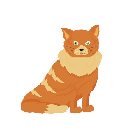 Tabby cat flat color vector character. Domestic animal in shelter. Pet sitting and daycare. Grooming for kitten. Cat sit isolated cartoon illustration for web graphic design and animationのイラスト素材