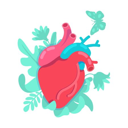Anatomical heart flat concept vector illustration. Cardiovascular disease prevention. Transplant for surgery. Cardiology 2D cartoon object for web design. Healthy human internal organ creative ideaのイラスト素材
