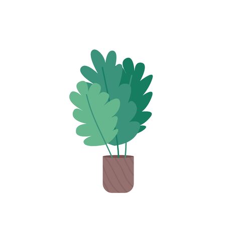 Potted plant cartoon vector illustration. Natural homeplant in flowerpot. Decorative indoor flower for home and office. Houseplant flat color object. Interior decoration isolated on white backgroundのイラスト素材
