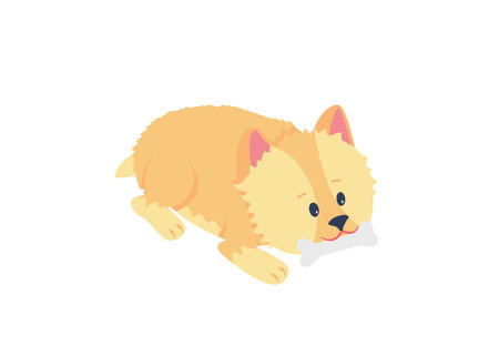 Terrier puppy chewing bone flat color vector detailed character. Pet adoption. Homeless dog for rescue. Animal care isolated cartoon illustration for web graphic design and animationのイラスト素材