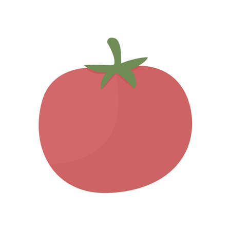 Tomato semi flat color vector object. Culinary vegetable. Full sized item on white. Tomato production. Botanical fruit isolated modern cartoon style illustration for graphic design and animationのイラスト素材