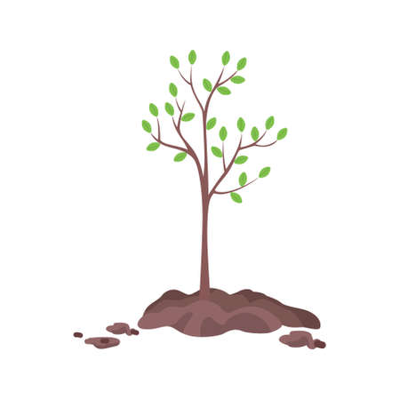 Planting tree in spring semi flat color vector object. Full sized item on white. Tree seedling. Concern to environment isolated modern cartoon style illustration for graphic design and animationのイラスト素材