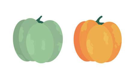 Pumpkins semi flat color vector object set. Fall crop for halloween. Full size item on white. Autumnal harvest isolated modern cartoon style illustration for graphic design and animation packのイラスト素材