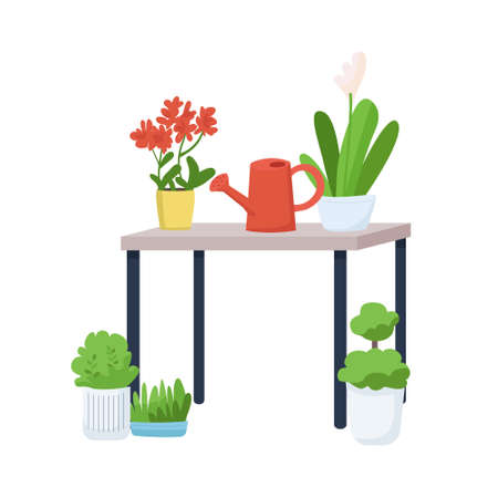 Home garden semi flat color vector object. Full sized item on white. house interior. Shelf with houseplants and watering pot simple cartoon style illustration for web graphic design and animationのイラスト素材