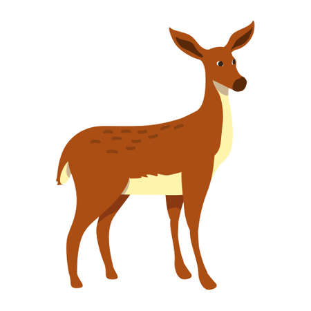 Doe semi flat color vector character. Position figure. Full body animal on white. Mammal without antlers. Female deer simple cartoon style illustration for web graphic design and animationのイラスト素材