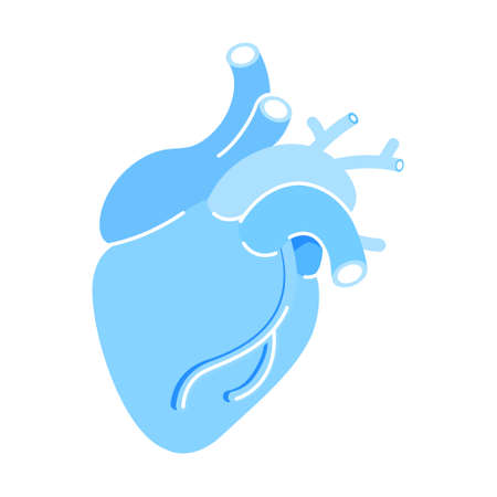 Realistic blue heart semi flat color vector object. Full sized item on white. human anatomy. Circulating blood. muscle organ. Simple cartoon style illustration for web graphic design and animationのイラスト素材