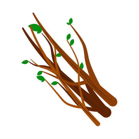 Collecting firewood semi flat color vector object. Picking up small twigs for fire. Full sized item on white. Campfire simple cartoon style illustration for web graphic design and animationのイラスト素材