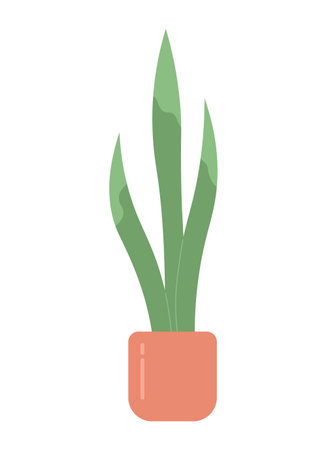 Decorative snake plant in pot semi flat color vector object. long leaves. Editable cartoon clip art icon on white background. Simple spot illustration for web graphic designのイラスト素材