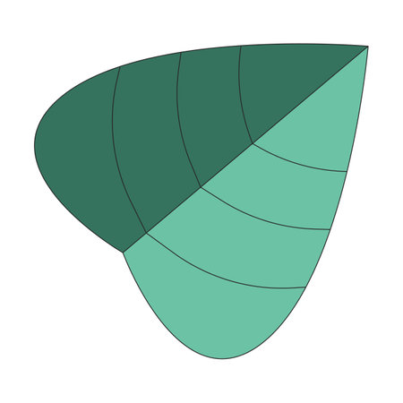 Heart shape leaf 2D linear cartoon object. Foliage environment isolated line vector element white background. Botany nature. Exotic plant. Gardening houseplant color flat spot illustrationのイラスト素材