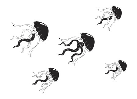 Swarm jellyfish swimming together black and white 2D line cartoon object. Group of jelly medusa...