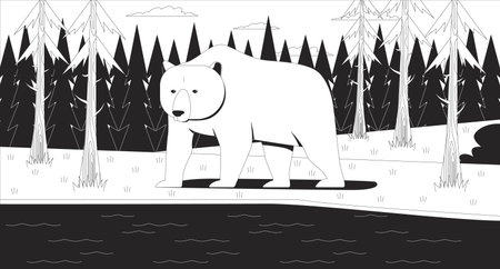 Grizzly polar bear standing by forest lake line illustration. Wild animal in pine woods near water river. Wildlife woodland mammal 2D ink linear character monochrome. Flat outline vector imageのイラスト素材
