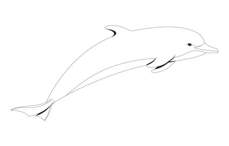 Dolphin underwater swimming forward gracefully 2D line character. Sea creature. Ocean mammal Water animal. Aquatic wildlife isolated vector ink outline creature. Monochromatic spot illustrationのイラスト素材