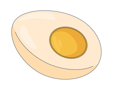 Boiled egg half 2D cartoon object. Protein food slice. Breakfast cooking ingredient. Hardboiled yolk center. Halved cooked egg isolated element flat vector clip art on white. Spot illustrationのイラスト素材