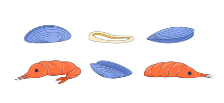Assorted shellfish and shrimps 2D cartoon objects set. Clams, mussels, prawns, calamari ring. Seafood ingredients isolated elements flat vector clip arts on white. Spot illustrations collectionのイラスト素材