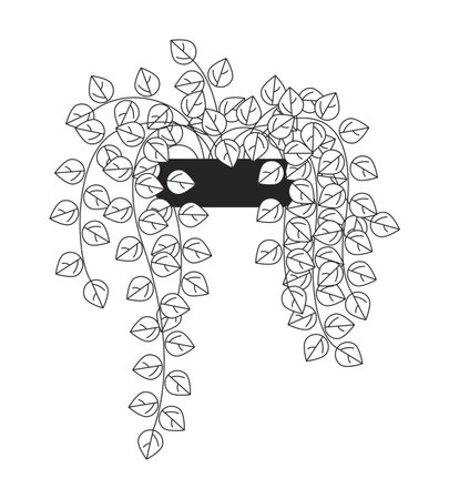 Cascading pothos plant in pot 2D line object. Potted houseplant with lush trailing vines. Indoor greenery with hanging leaves isolated clipart vector ink outline item. Monochrome spot illustrationのイラスト素材