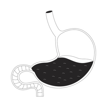 Human stomach cross-section filled with gastric fluid outline illustration. Digestive organ. Biology diagram. Gastrointestinal 2D line object isolated on white. Monochrome vector ink linear imageのイラスト素材