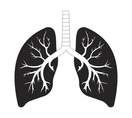 Healthy human lungs with bronchi outline illustration. Breathing organ, trachea. Respiratory system with internal branching airways 2D line object isolated on white. Monochrome vector ink linear imageのイラスト素材