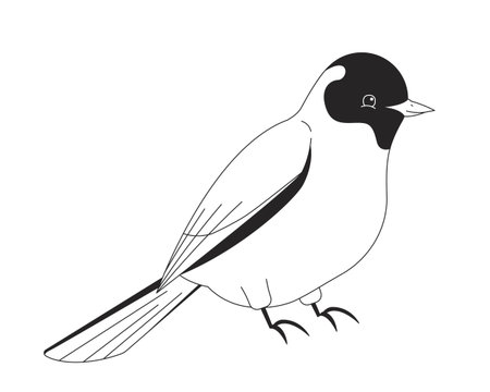 Perched white bird with black head 2D line character. Songbird in side view sitting calmly with vibrant avian wings and feathers isolated vector ink outline animal. Monochromatic spot illustrationのイラスト素材