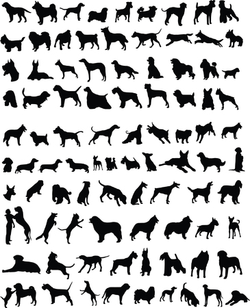 100 silhouettes of different breeds of dogsのイラスト素材