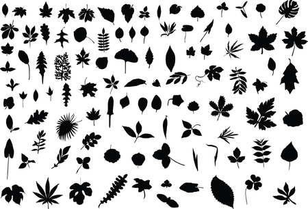 A hundred silhouettes of different leaves of trees, bushes and grassのイラスト素材