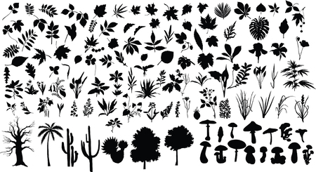 Vector silhouettes of different leaves, trees, bushes, flowers, herbs and mushroomsのイラスト素材