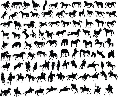 100 vector silhouettes of horses and ridersのイラスト素材