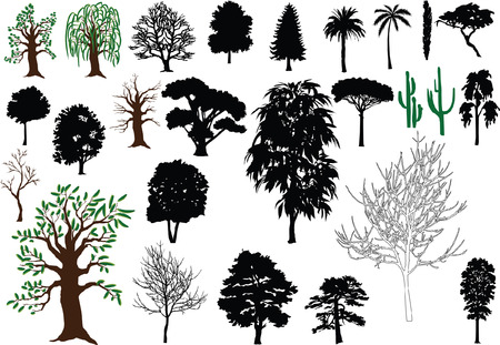 Set of vector trees (silhouettes, drawing)のイラスト素材