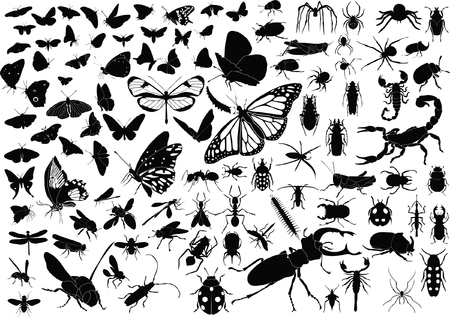 100 vector silhouettes of insects (butterflies, bugs, flies, bees ets.)のイラスト素材