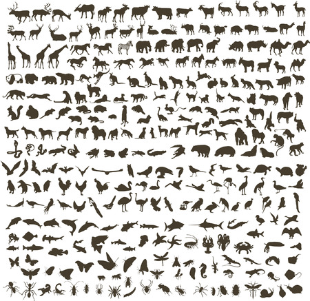 300 silhouettes of animals (mammals, birds, fish, insects)のイラスト素材