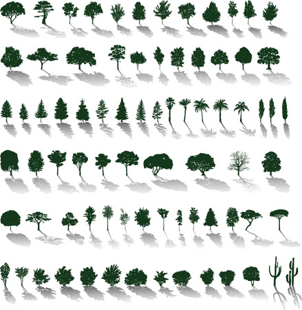 Set of silhouettes of trees and bushes with shadowsのイラスト素材