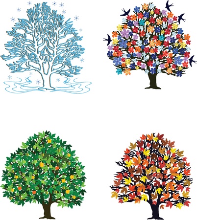 Four seasons trees in spring, summer, autumn, winterのイラスト素材