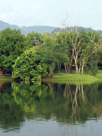 Lake in the summerの写真素材