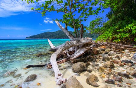TARUTAO NATIONAL PARK,SATUN,THAILANDの写真素材