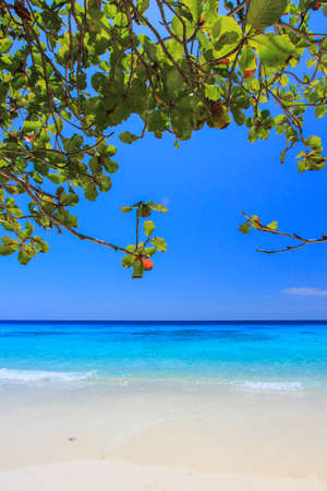 Koh 4,Similan Islands National Park,Phang Nga Province,southern Thailand.With white beach,beautiful water.の写真素材